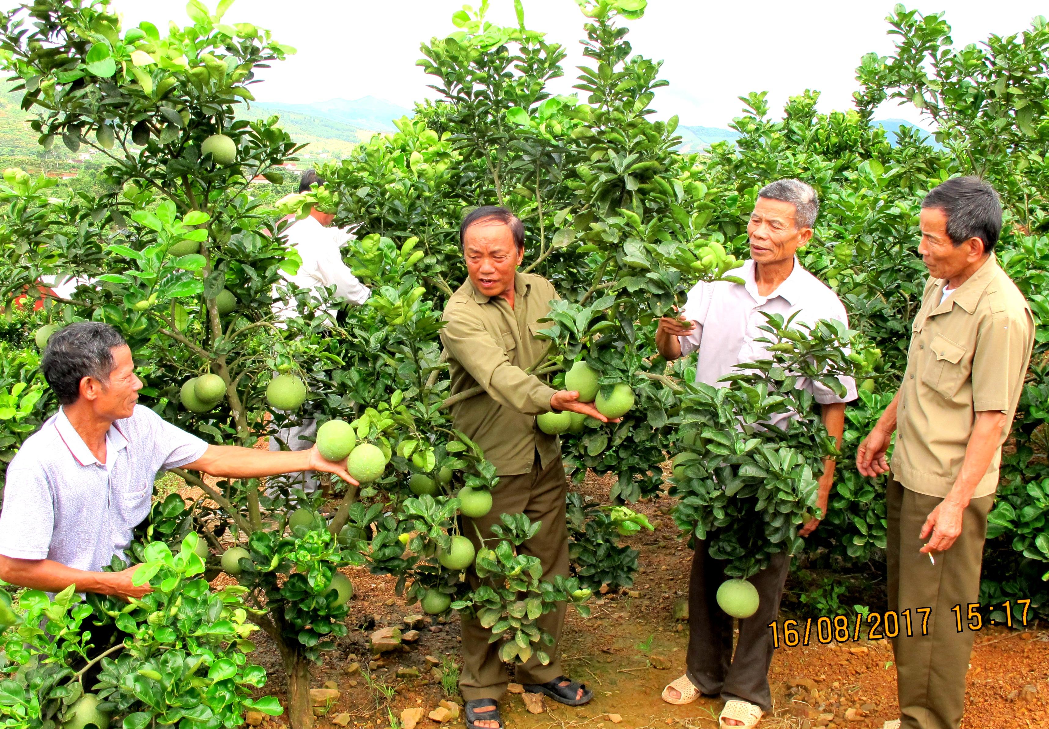 Vượt khó xây quê hương, gia đình no ấm
